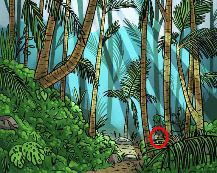 Optische Täuschung für Unikate: Sie müssen einen Tiger im Wald in 9 Sekunden finden