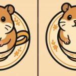 IQ-Test: Finde 3 Unterschiede in einem Bild von einem Hamster in 51 Sekunden. IQ-Test: Finde 3 Unterschiede in einem Bild von einem Hamster