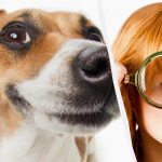 Nur ein wahrer IQ-Titan kann einen Hund im Schnee in 10 Sekunden sehen: eine atemberaubende optische Täuschung Nur ein wahrer IQ-Titan kann einen Hund im Schnee in